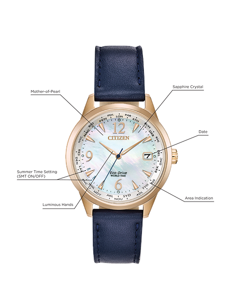 Setting daylight savings time 2025 on citizen eco drive